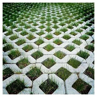 Grass Pavers